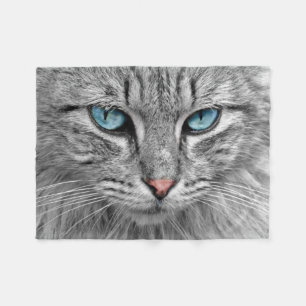 Couverture Polaire Chat Beau Gros Plan
