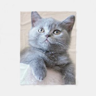 Couverture Polaire Chat britannique gris de Shorthair