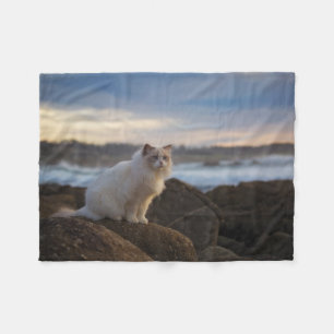 Couverture Polaire Chat de Ragdoll à la plage