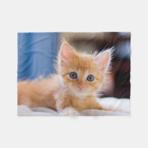 Couverture Polaire Chat mignon avec des yeux bleus
