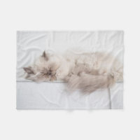 Chat persan