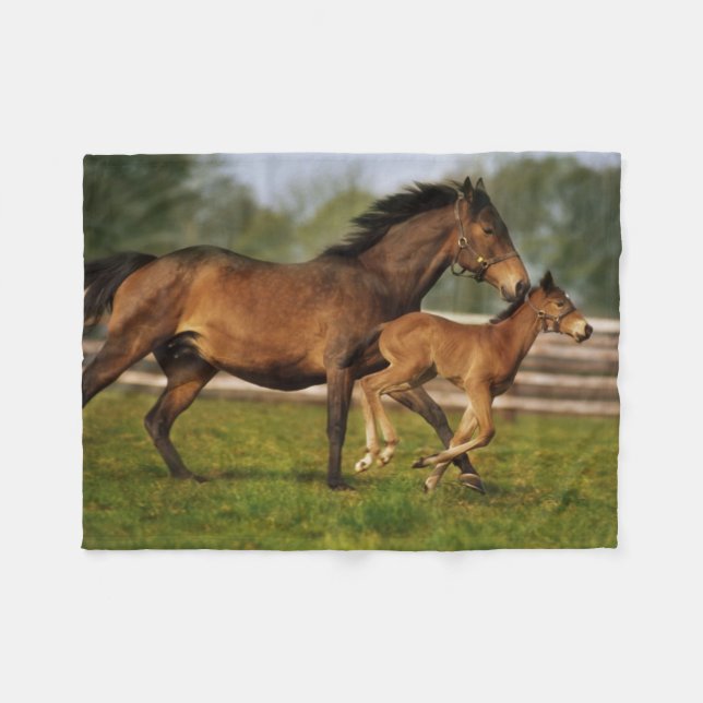 Couverture Polaire Châtaigne de Thoroughbred Mare & Foie (Devant (Horizontal))
