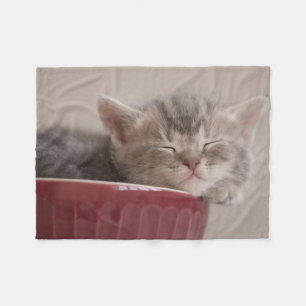 Couverture Polaire Chaton dormant dans une cuvette