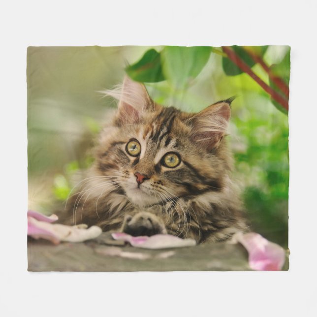 Couverture Polaire Chaton mignon de ragondin du Maine confortable (Devant (Horizontal))