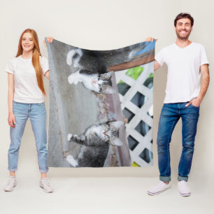 Couverture Polaire Chatons