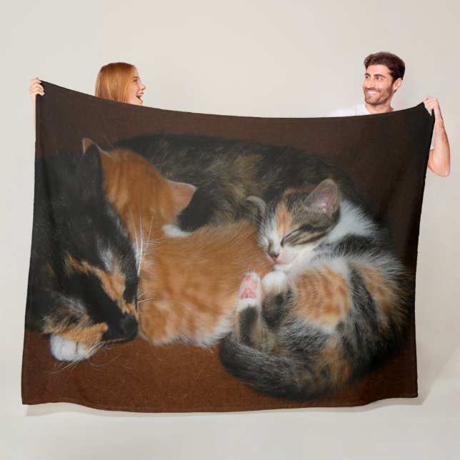 Couverture Polaire Chatons somnolents (En situation)
