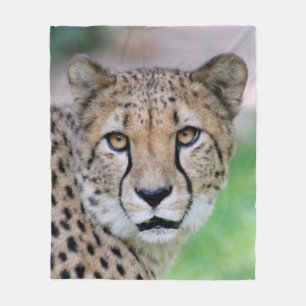 Couverture Polaire Cheetah 009