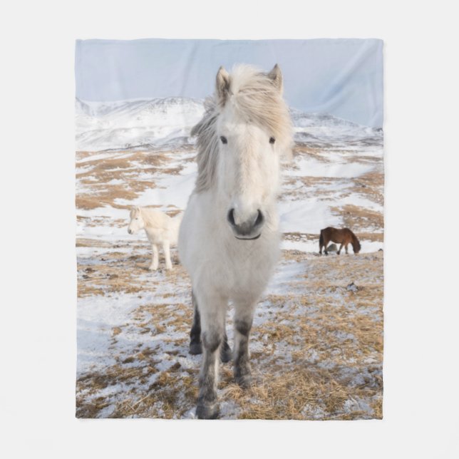 Couverture Polaire Cheval Blanc Islandais, Islande (Devant)