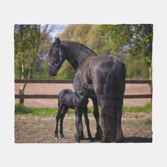 Couverture Polaire Cheval de mamans et de bébé (Devant (Horizontal))