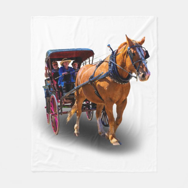 COUVERTURE POLAIRE CHEVAL ET TRANSPORT (Devant)