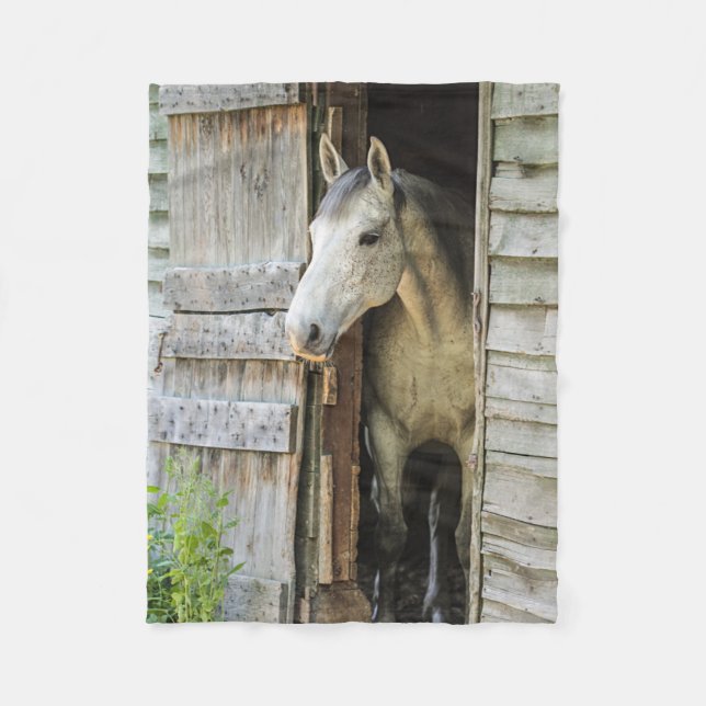 Couverture Polaire Chevaux de jument gris et de grange (Devant)