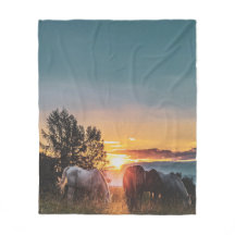 Chevaux Sauvages Au Coucher Du Soleil