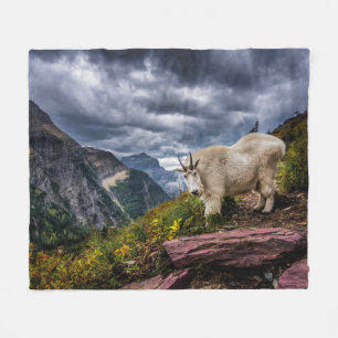 Couverture Polaire Chèvre de montagne rocheuse