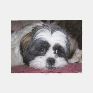 Couverture Polaire Chien de Shih Tzu