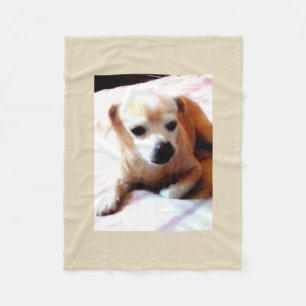 Couverture Polaire Chien mignon