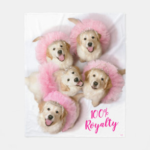 Couverture Polaire Chiens de Tiaras
