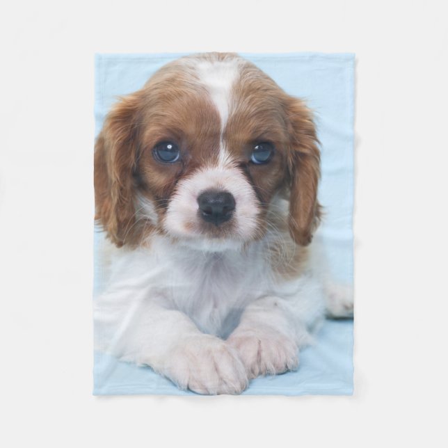 Couverture Polaire Chiot cavalier d'épagneul du Roi Charles (Devant)