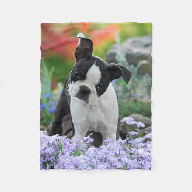 Couverture Polaire Chiot de Boston Terrier Dog (Devant)