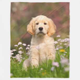 Couverture Polaire Chiot de chien de golden retriever, confortable