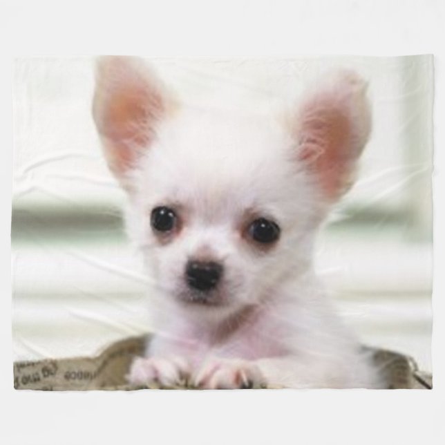 COUVERTURE POLAIRE CHIOT DE CHIWAWA (Devant (Horizontal))