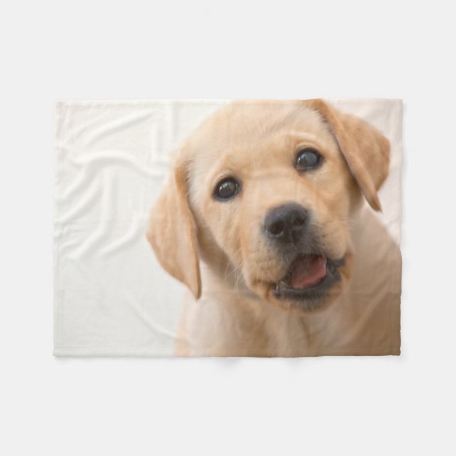 Couverture Polaire Chiot d'or de Labrador (Devant (Horizontal))