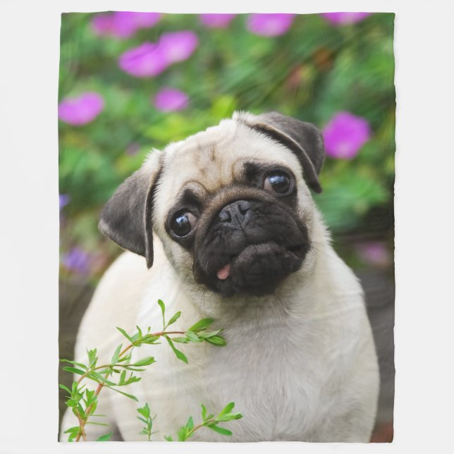 Couverture Polaire Chiot mignon de carlin de faon, mou (Devant)