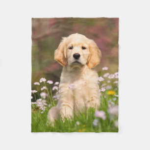 Couverture Polaire Chiot mignon de chien de golden retriever,