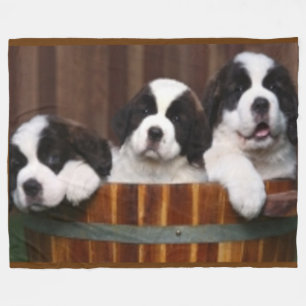 COUVERTURE POLAIRE CHIOTS DE ST BERNARD