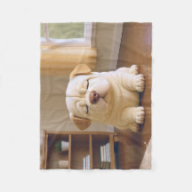 Chiots Shar Pei - Douce Sérénité par WangWang