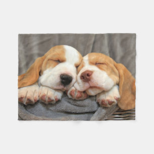 Couverture Polaire Chiots somnolents