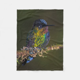 Couverture Polaire Colibri