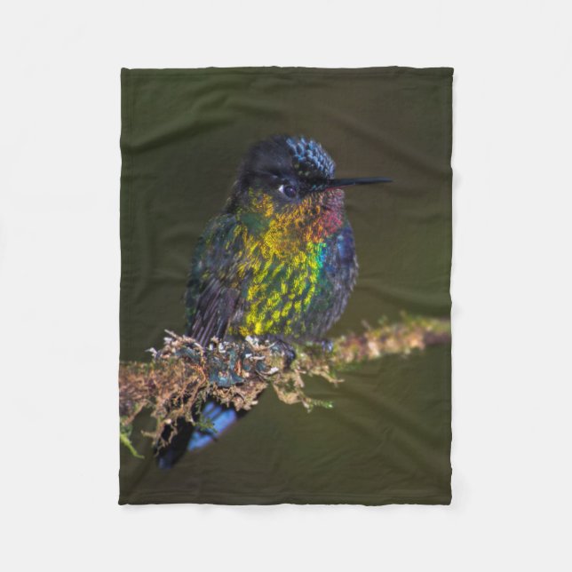 Couverture Polaire Colibri (Devant)