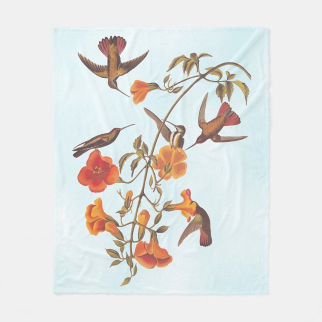 Couverture Polaire Colibris de la mangrove aux fleurs de trompette or (Devant)