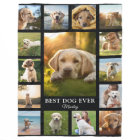 Collage photo Pet Memorial