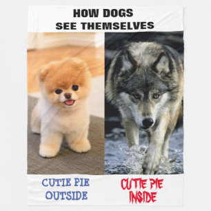COUVERTURE POLAIRE COMMENT LES CHIENS SE VOIENT