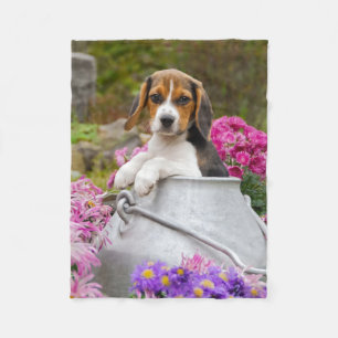 Couverture Polaire Cool Tricolor Beagle Chien Chien Chien Chien Chien