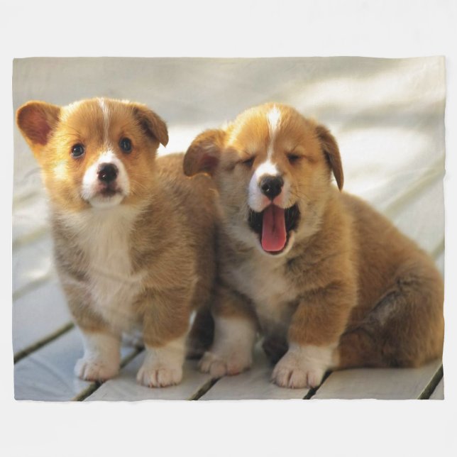 COUVERTURE POLAIRE COPIER LA PASSE (Devant (Horizontal))