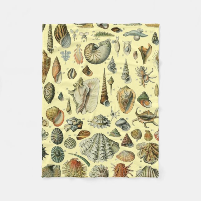 Couverture Polaire Coquillages de coquillages Mollusk Clam Élégant Ar (Devant)