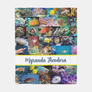 Couverture Polaire Coral Reef Marine Vie Poissons Animaux Photos Coll