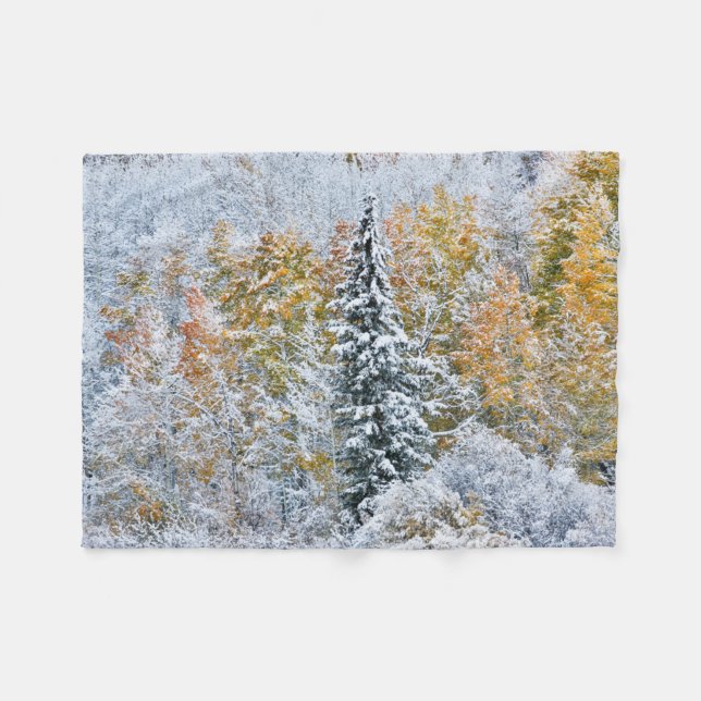 Couverture Polaire Couleurs automnales des Aspens et du col Keebler (Devant (Horizontal))