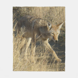 Couverture Polaire Coyote R14 en marche