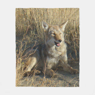 Couverture Polaire Coyote R18 Couché