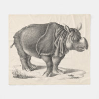 Croquis Brodtmann Rhinoceros