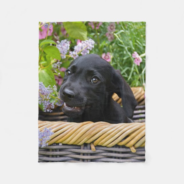 Couverture Polaire Cuisine Black Labrador Retriever Chien Chiot Chiot (Devant)