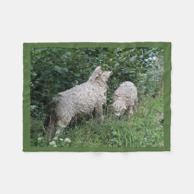 Couverture Polaire Cuisine des moutons Feuilles Blanche-Toison (Devant (Horizontal))