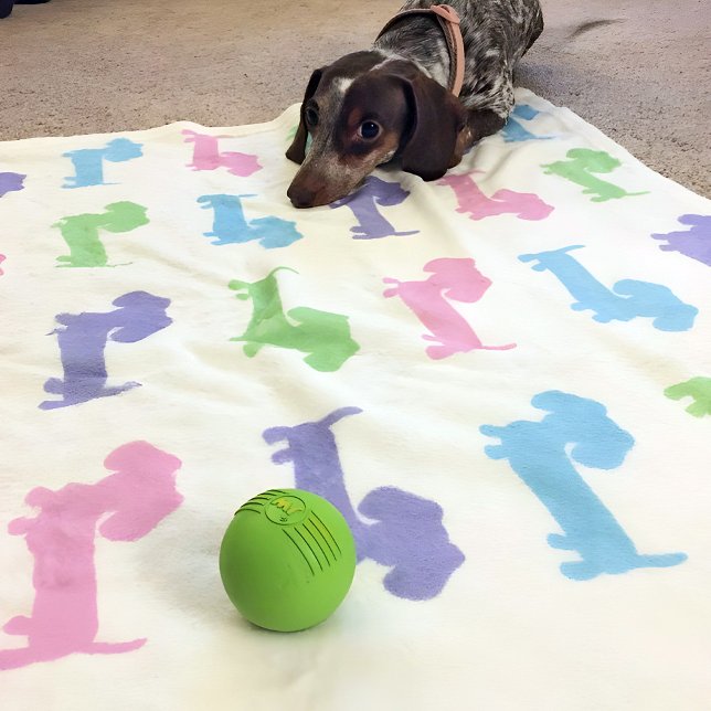 Couverture Polaire Dachshund rose violet bleu bleu vert pastels couve (Pastel wiener dogs - pink purple and light blue - snuggly blanket for your doxie or you.)
