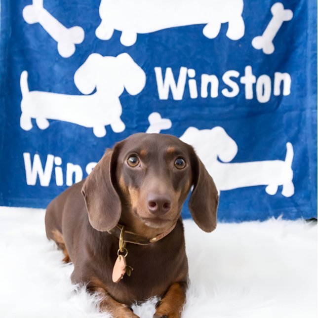 Couverture Polaire Dachshund Wiener Dog Blanche personnalisée | Doxie (Personalized dachshund blanket)