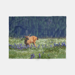Couverture Polaire Dans le pré
