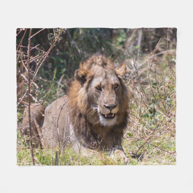 Couverture polaire de lion mâle (Devant (Horizontal))