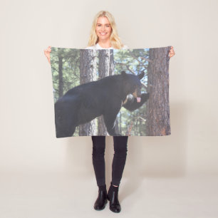 Couverture polaire de l'ours noir